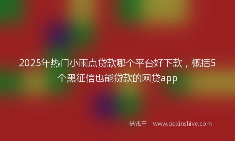 2025年热门小雨点贷款哪个平台好下款，概括5个黑征信也能贷款的网贷app