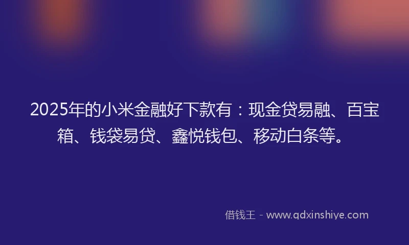 2025年的小米金融好下款有：现金贷易融、百宝箱、钱袋易贷、鑫悦钱包、移动白条等。