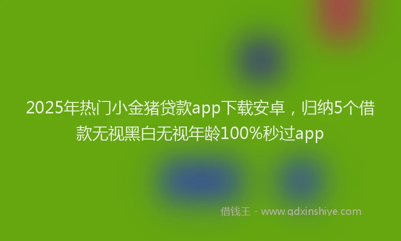 2025年热门小金猪贷款app下载安卓，归纳5个借款无视黑白无视年龄100%秒过app