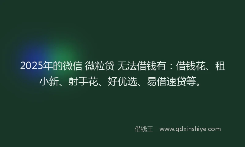 2025年的微信 微粒贷 无法借钱有：借钱花、租小新、射手花、好优选、易借速贷等。