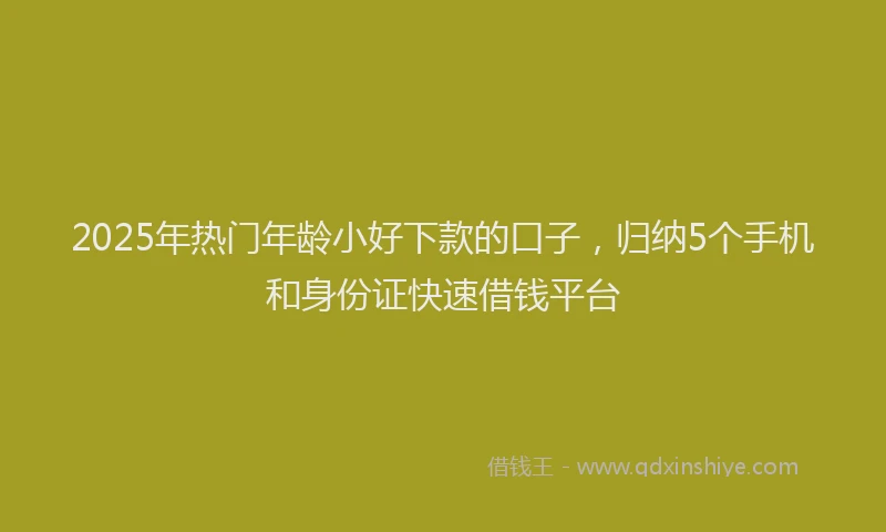 2025年热门年龄小好下款的口子，归纳5个手机和身份证快速借钱平台
