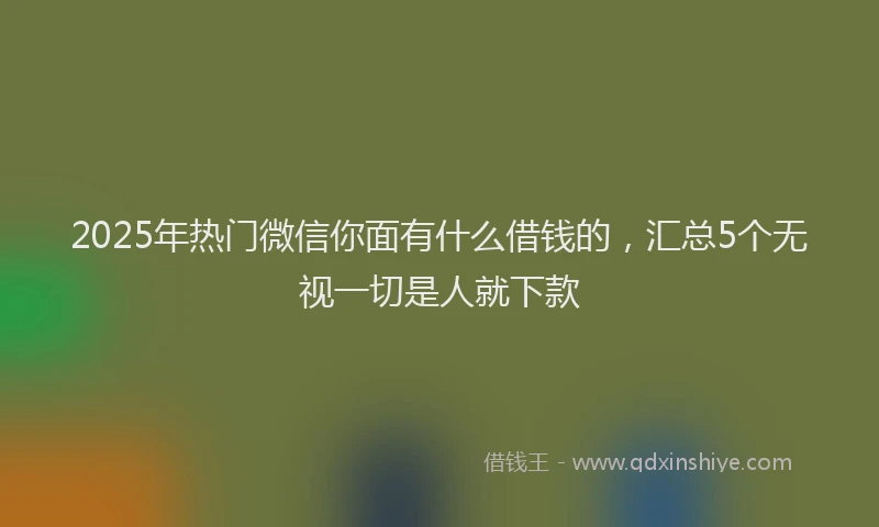 2025年热门微信你面有什么借钱的，汇总5个无视一切是人就下款