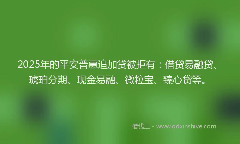 2025年的平安普惠追加贷被拒有：借贷易融贷、琥珀分期、现金易融、微粒宝、臻心贷等。