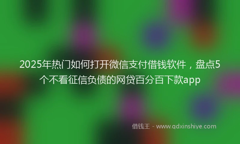 2025年热门如何打开微信支付借钱软件，盘点5个不看征信负债的网贷百分百下款app