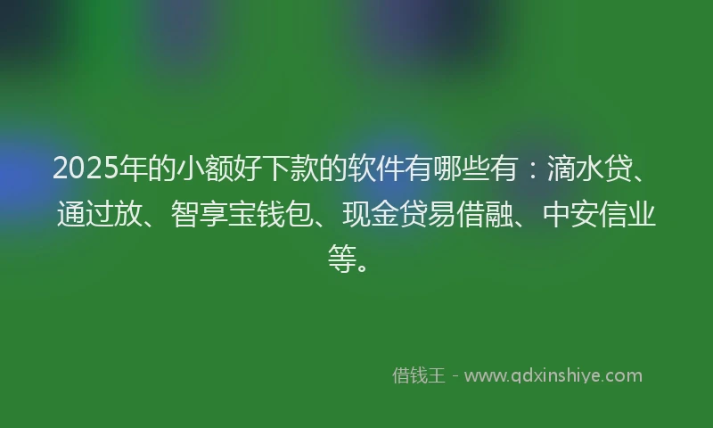 2025年的小额好下款的软件有哪些有：滴水贷、通过放、智享宝钱包、现金贷易借融、中安信业等。