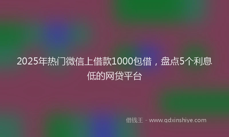 2025年热门微信上借款1000包借，盘点5个利息低的网贷平台