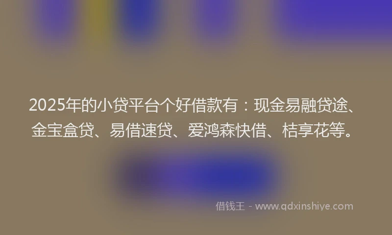 2025年的小贷平台个好借款有：现金易融贷途、金宝盒贷、易借速贷、爱鸿森快借、桔享花等。