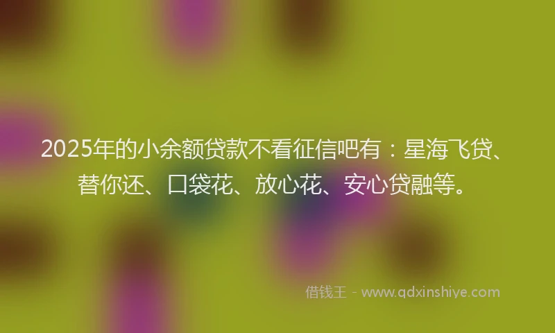2025年的小余额贷款不看征信吧有：星海飞贷、替你还、口袋花、放心花、安心贷融等。