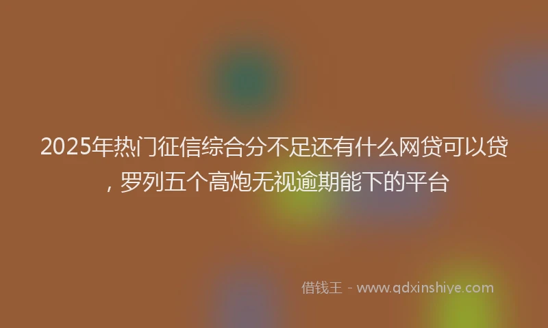 2025年热门征信综合分不足还有什么网贷可以贷，罗列五个高炮无视逾期能下的平台