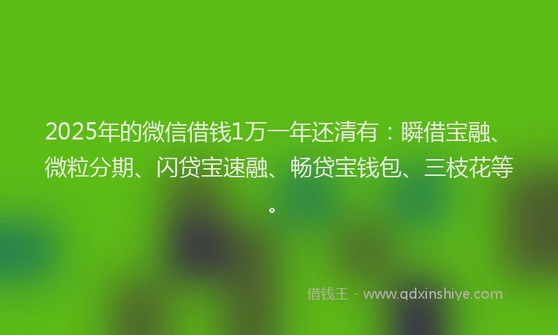 2025年的微信借钱1万一年还清有：瞬借宝融、微粒分期、闪贷宝速融、畅贷宝钱包、三枝花等。