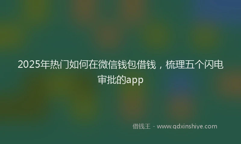 2025年热门如何在微信钱包借钱，梳理五个闪电审批的app
