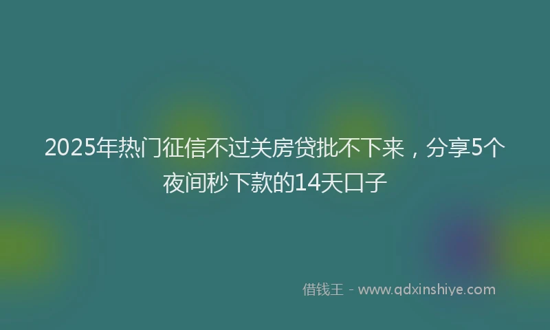 2025年热门征信不过关房贷批不下来，分享5个夜间秒下款的14天口子
