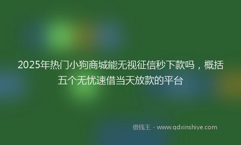2025年热门小狗商城能无视征信秒下款吗，概括五个无忧速借当天放款的平台