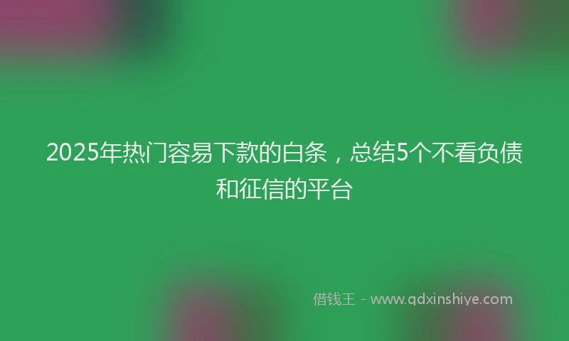 2025年热门容易下款的白条，总结5个不看负债和征信的平台