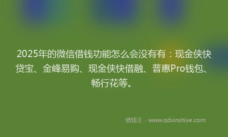 2025年的微信借钱功能怎么会没有有：现金侠快贷宝、金峰易购、现金侠快借融、普惠Pro钱包、畅行花等。