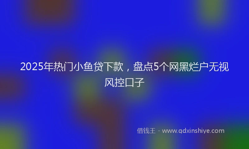 2025年热门小鱼贷下款，盘点5个网黑烂户无视风控口子