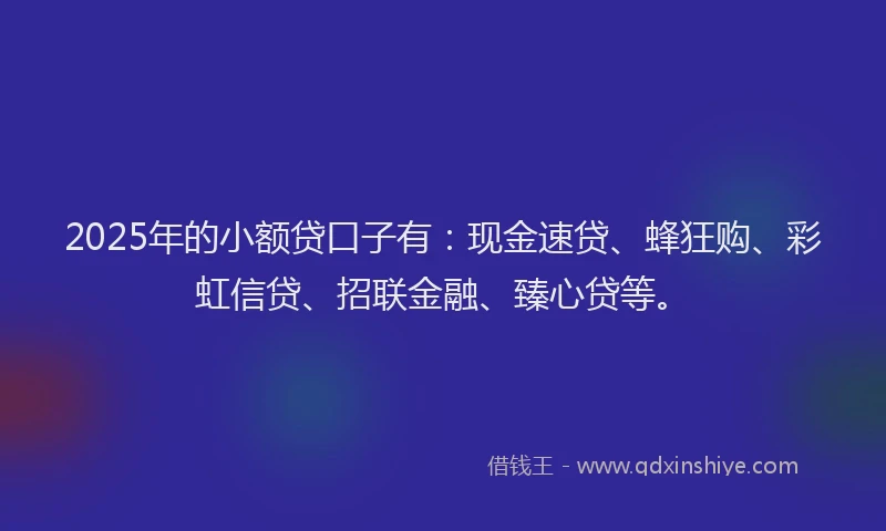 2025年的小额贷口子有：现金速贷、蜂狂购、彩虹信贷、招联金融、臻心贷等。