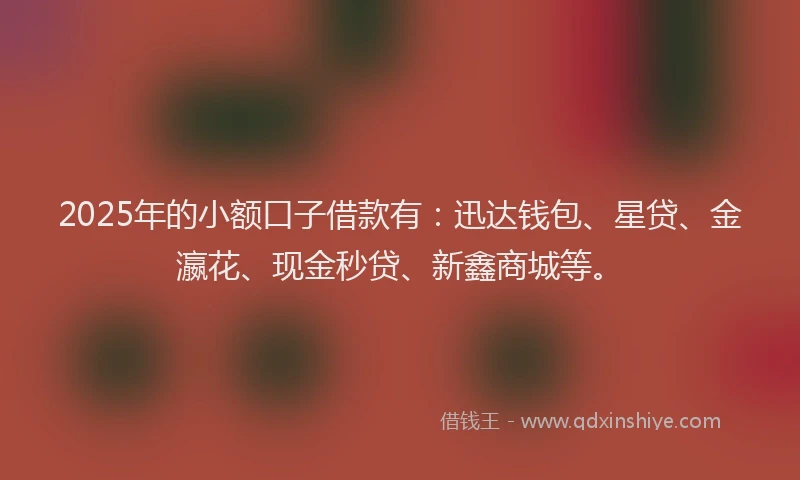 2025年的小额口子借款有：迅达钱包、星贷、金瀛花、现金秒贷、新鑫商城等。