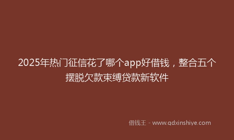2025年热门征信花了哪个app好借钱，整合五个摆脱欠款束缚贷款新软件