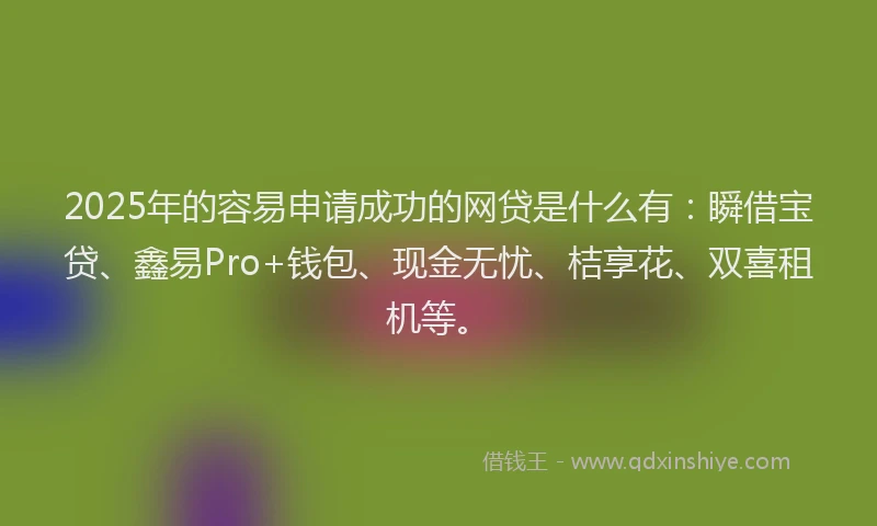 2025年的容易申请成功的网贷是什么有：瞬借宝贷、鑫易Pro+钱包、现金无忧、桔享花、双喜租机等。