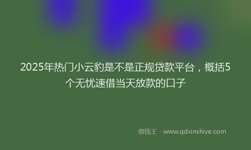 2025年热门小云豹是不是正规贷款平台，概括5个无忧速借当天放款的口子