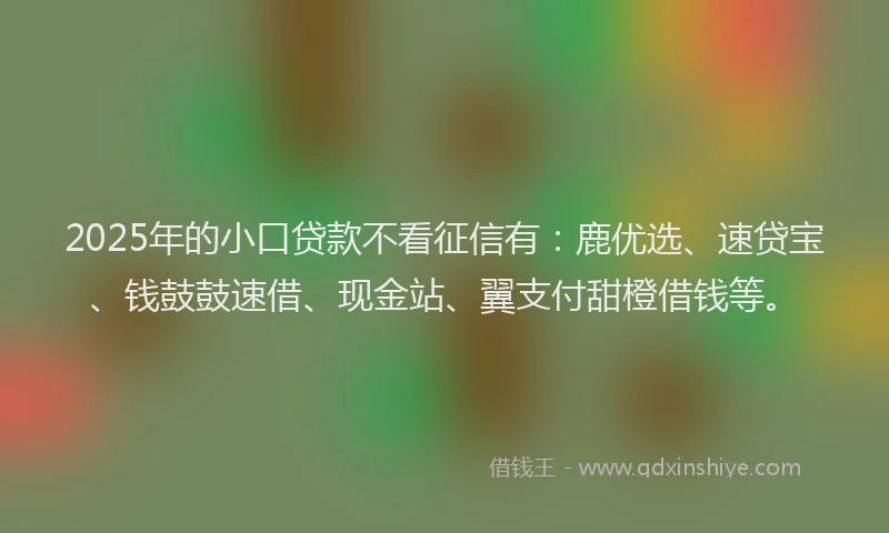 2025年的小口贷款不看征信有：鹿优选、速贷宝、钱鼓鼓速借、现金站、翼支付甜橙借钱等。