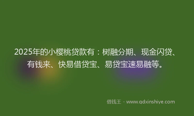 2025年的小樱桃贷款有：树融分期、现金闪贷、有钱来、快易借贷宝、易贷宝速易融等。