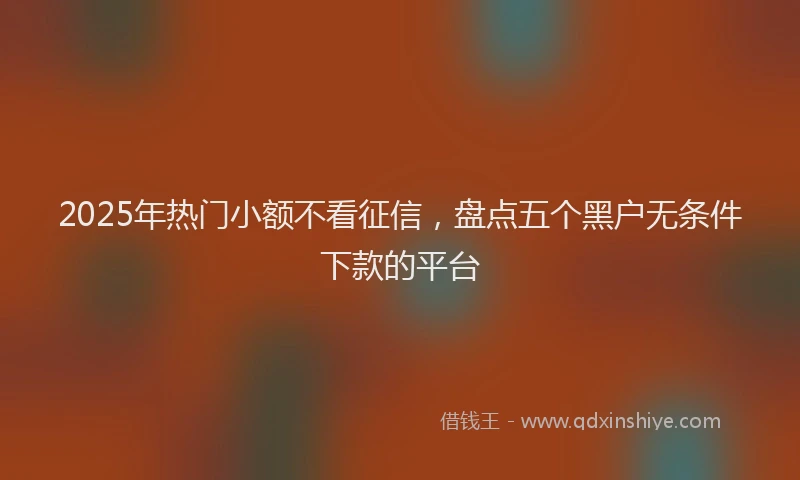 2025年热门小额不看征信，盘点五个黑户无条件下款的平台