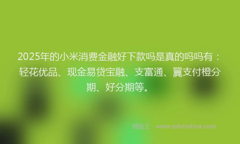 2025年的小米消费金融好下款吗是真的吗吗有：轻花优品、现金易贷宝融、支富通、翼支付橙分期、好分期等。