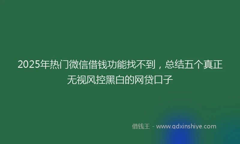 2025年热门微信借钱功能找不到，总结五个真正无视风控黑白的网贷口子