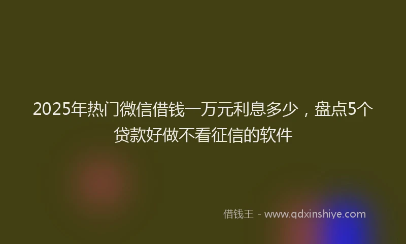 2025年热门微信借钱一万元利息多少，盘点5个贷款好做不看征信的软件