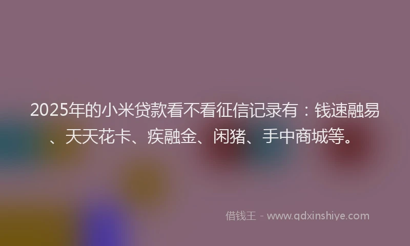 2025年的小米贷款看不看征信记录有：钱速融易、天天花卡、疾融金、闲猪、手中商城等。