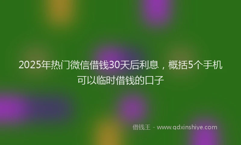 2025年热门微信借钱30天后利息，概括5个手机可以临时借钱的口子