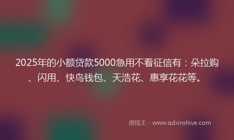 2025年的小额贷款5000急用不看征信有：朵拉购、闪用、快鸟钱包、天浩花、惠享花花等。