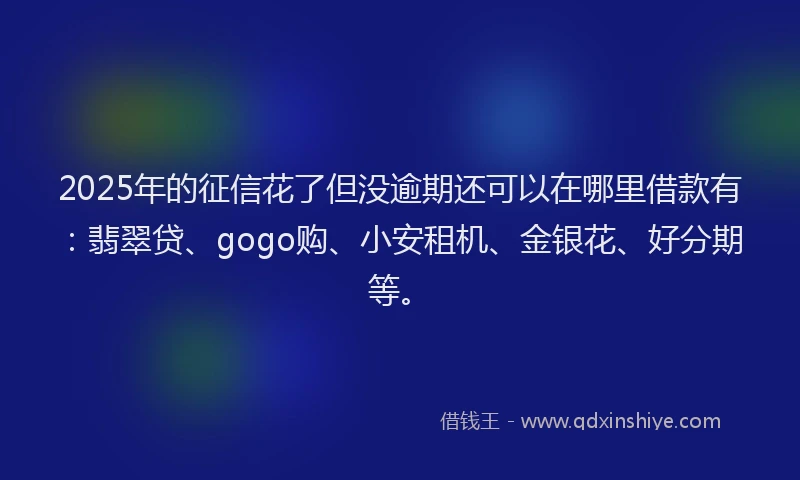2025年的征信花了但没逾期还可以在哪里借款有：翡翠贷、gogo购、小安租机、金银花、好分期等。