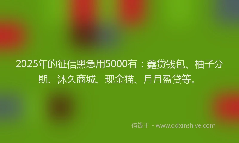 2025年的征信黑急用5000有：鑫贷钱包、柚子分期、沐久商城、现金猫、月月盈贷等。