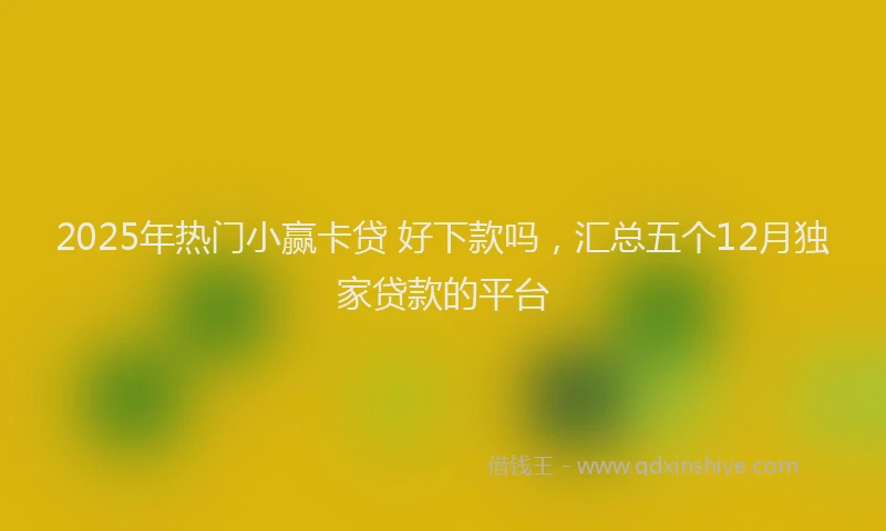 2025年热门小赢卡贷 好下款吗，汇总五个12月独家贷款的平台
