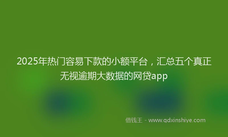 2025年热门容易下款的小额平台，汇总五个真正无视逾期大数据的网贷app