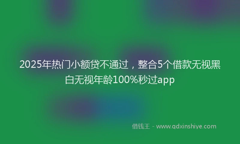 2025年热门小额贷不通过，整合5个借款无视黑白无视年龄100%秒过app