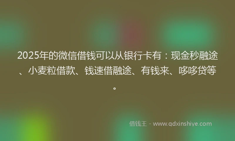 2025年的微信借钱可以从银行卡有：现金秒融途、小麦粒借款、钱速借融途、有钱来、哆哆贷等。
