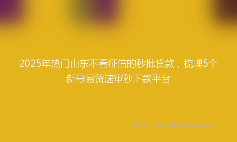2025年热门山东不看征信的秒批贷款，梳理5个新号易贷速审秒下款平台