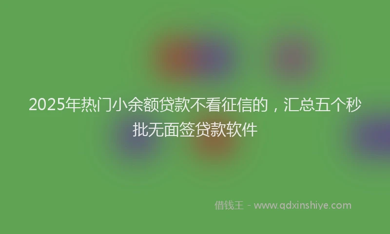 2025年热门小余额贷款不看征信的，汇总五个秒批无面签贷款软件