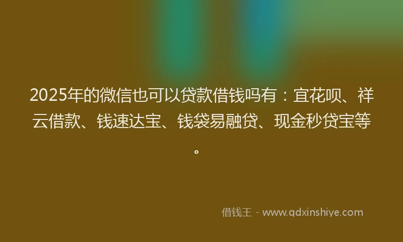 2025年的微信也可以贷款借钱吗有：宜花呗、祥云借款、钱速达宝、钱袋易融贷、现金秒贷宝等。
