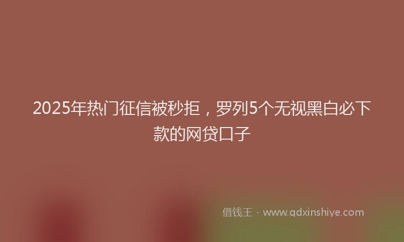 2025年热门征信被秒拒，罗列5个无视黑白必下款的网贷口子