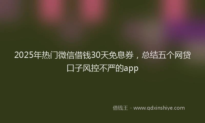 2025年热门微信借钱30天免息券，总结五个网贷口子风控不严的app