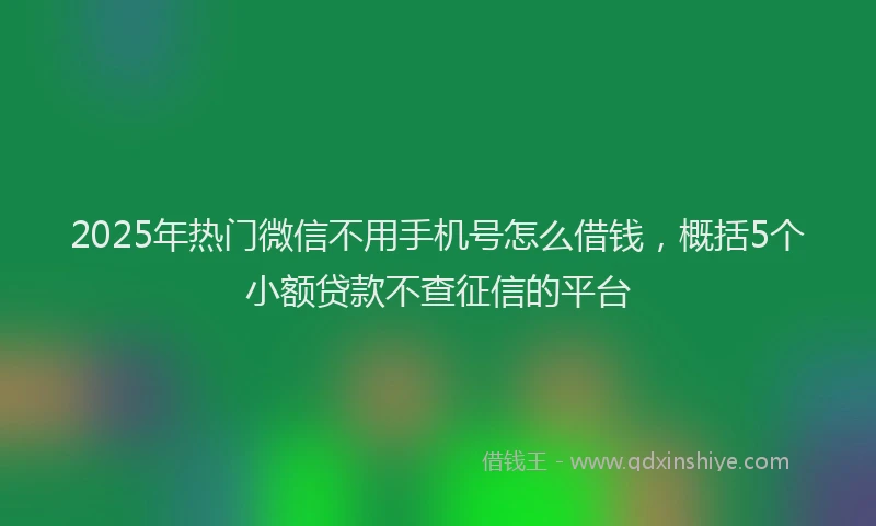 2025年热门微信不用手机号怎么借钱，概括5个小额贷款不查征信的平台
