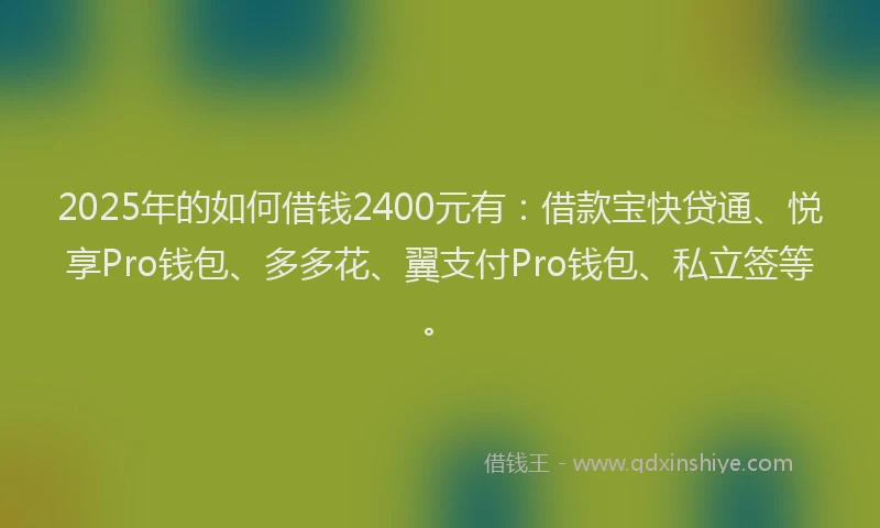 2025年的如何借钱2400元有：借款宝快贷通、悦享Pro钱包、多多花、翼支付Pro钱包、私立签等。