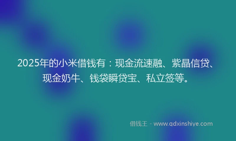 2025年的小米借钱有：现金流速融、紫晶信贷、现金奶牛、钱袋瞬贷宝、私立签等。