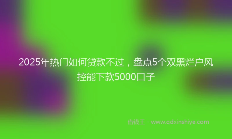 2025年热门如何贷款不过，盘点5个双黑烂户风控能下款5000口子