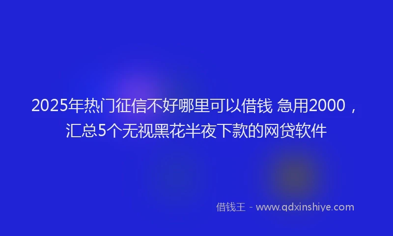 2025年热门征信不好哪里可以借钱 急用2000，汇总5个无视黑花半夜下款的网贷软件